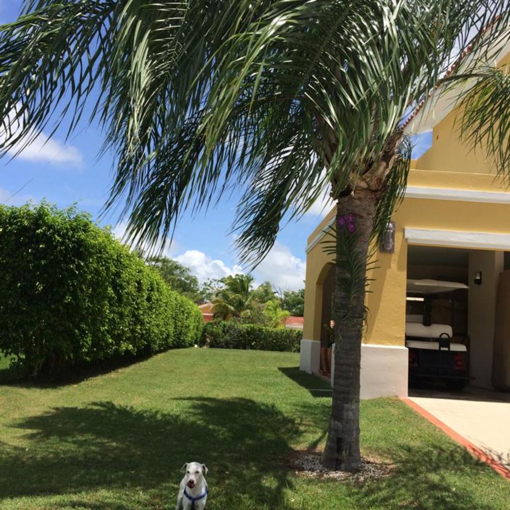 Meet your Posher, Roxy